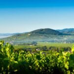 Camping Mont Brouilly