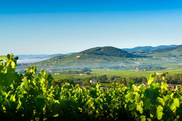 Camping Mont Brouilly